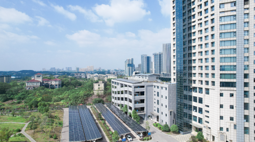 全國統一電力市場藍皮書征求意見稿出爐、投資項目將考核碳排放、智能電網領域有新動態、安徽省連發多項新能源新政…… 