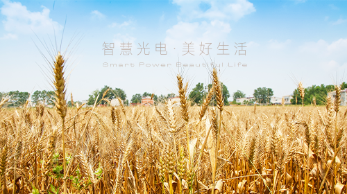 我國首部能源法正式問世、國家能源局/工信部最新通知、?支持企業引進光伏技術、虛擬電廠全電量參與現貨電能量交易出清…… - 拷貝
