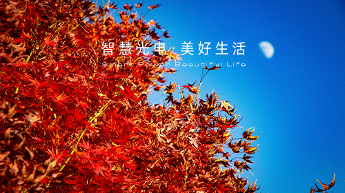 國家能源局發(fā)布指導(dǎo)意見和新批次名單、國家統(tǒng)計(jì)局解讀11月份CPI和PPI數(shù)據(jù)、?新一輪儲(chǔ)能政策頒布……